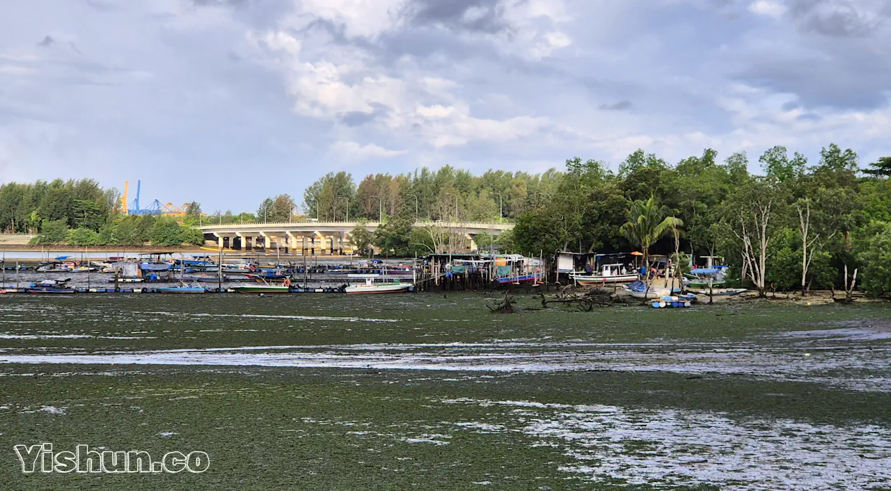 Moored fishing boats Moored fishing boats
