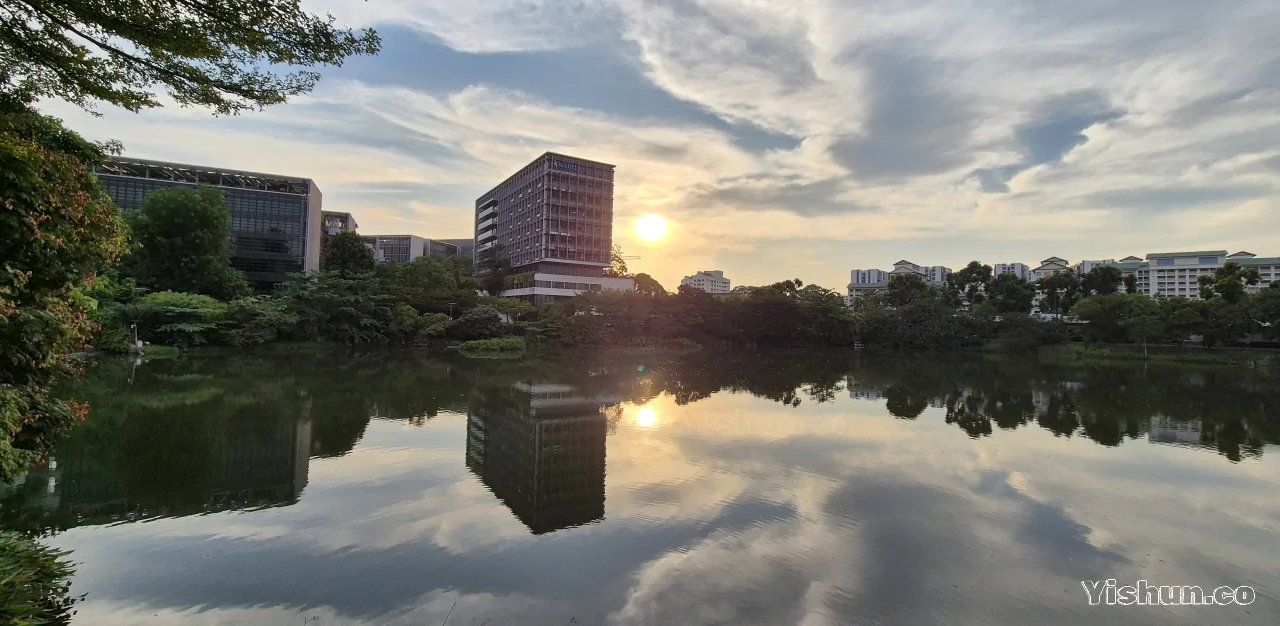 Yishun Pond + Park Yishun Pond + Park