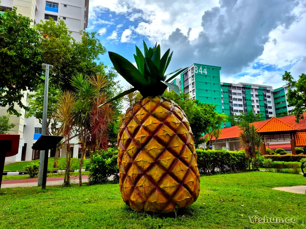 The name of Yishun is derived from Nee Soon which is associated with Mr. Lim Nee Soon, the Pineapple King who set up pineapple plantations in the area. The name of Yishun is derived from Nee Soon which is associated with Mr. Lim Nee Soon, the Pineapple King who set up pineapple plantations in the area.